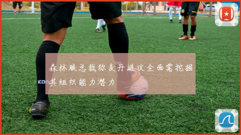 森林狼总裁称麦丹进攻全面需挖掘其组织能力潜力