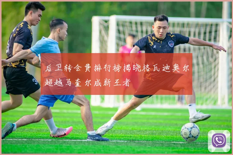 后卫转会费排行榜揭晓格瓦迪奥尔超越马奎尔成新王者